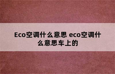 Eco空调什么意思 eco空调什么意思车上的